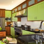 Rudos ir šviesiai žalios spalvos virtuvės interjero spalvų derinys