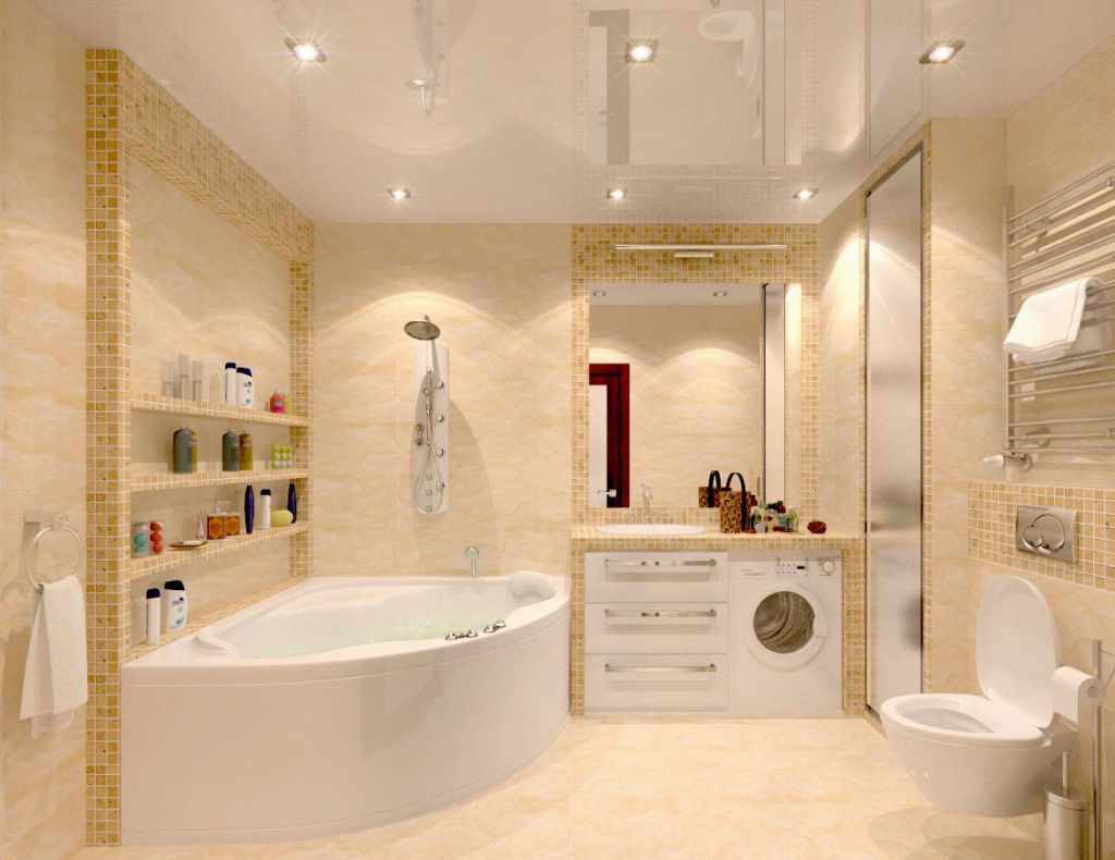 variant of the unusual style of the bathroom