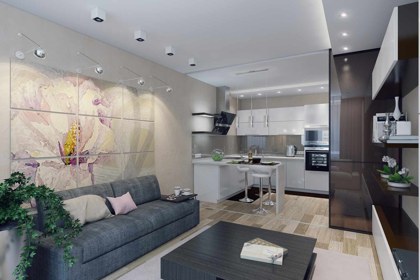 l'idée d'un séjour cuisine de style lumineux de 16 m²