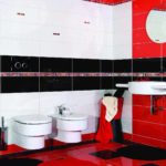 דוגמה לעיצוב יפה בחדר אמבטיה עם תצלום רעפים