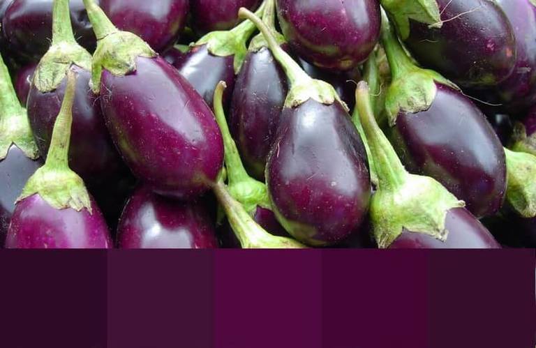 Natural shades of eggplant