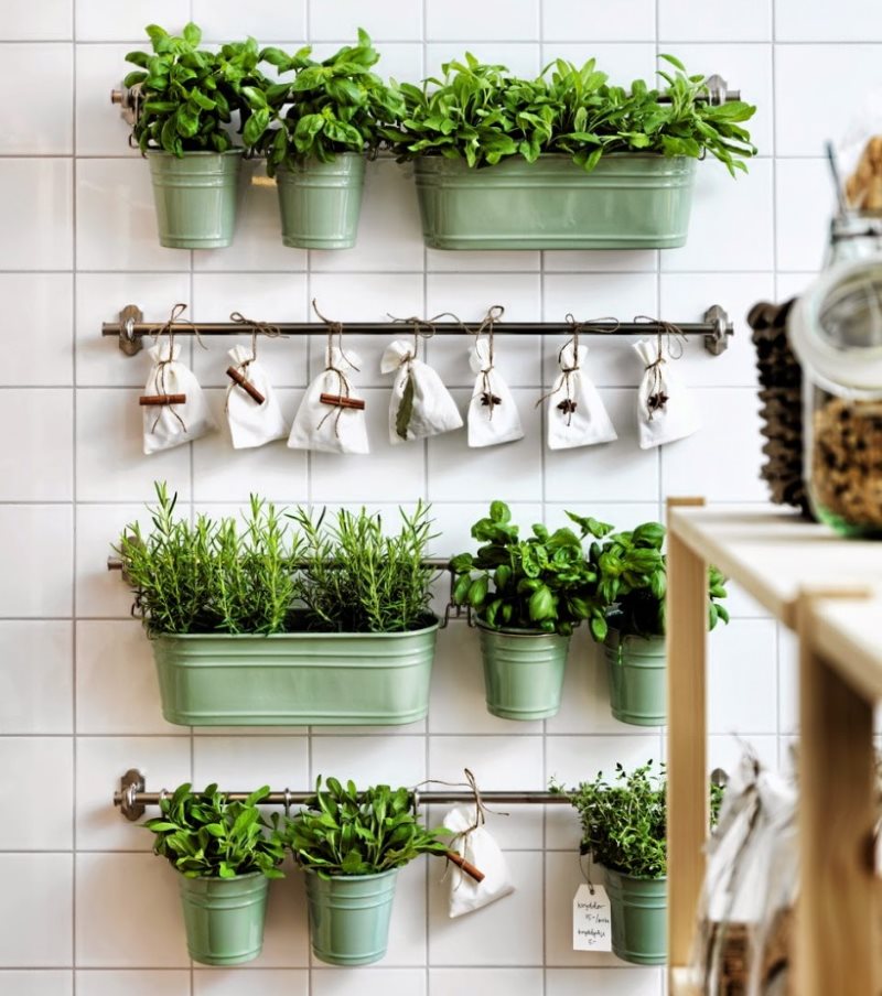 Placing herbs in kitchen rails