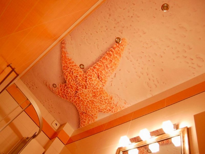 כוכבי ים תצלומים על התקרה עם הדפסת תמונות