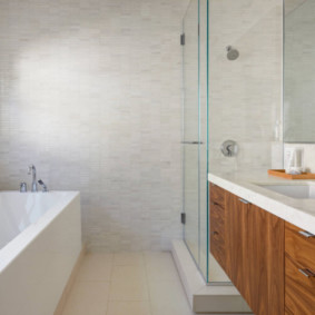 Vannas istabas dizains ar dušu