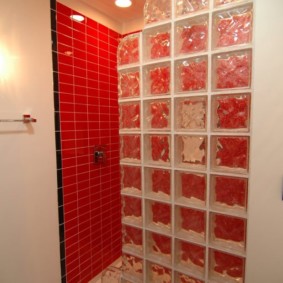 بلاط أحمر على جدار الحمام