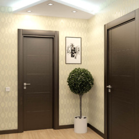 wallpaper for the hallway with dark doors