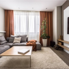 Brown Curtains and Gray Sofa
