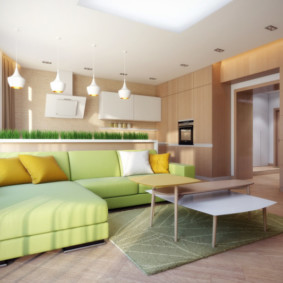 sala d’estar en idees d’opcions verdes