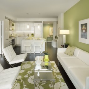 living room in green photo species