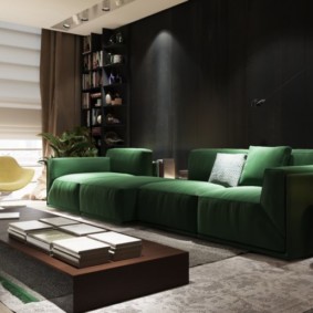 obývacia izba so zeleným prehľadom