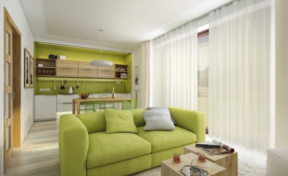 غرفة المعيشة في أفكار التصميم الأخضر