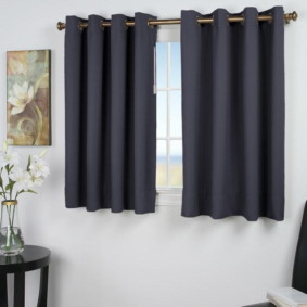curtains on the grommets in the living room interior photo