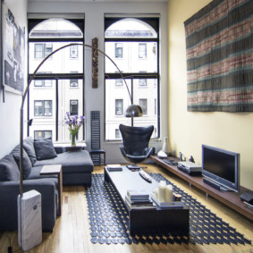 narrow living room in apartment ideas ideas