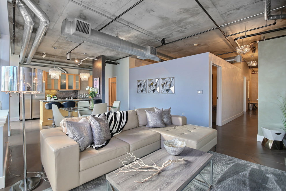 Pilkos lubos studijos tipo apartamentų salėje