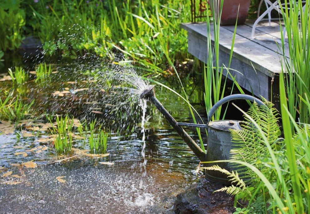 Have springvand fra en gammel galvaniseret vandkande