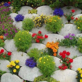 Blomsterbädd av deras ovala betongplattor