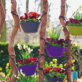Pots of flowers on wooden stakes