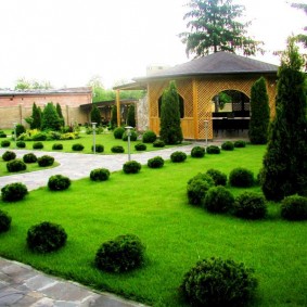 Grøn græsplæne i et sommerhus