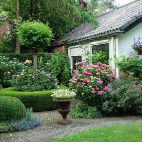 Perennial plants in front of a country house