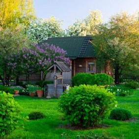 Trädgårdsdesign i rysk stil