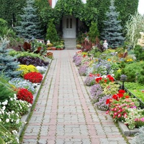 Cvjetne biljke na stranama vrtne staze