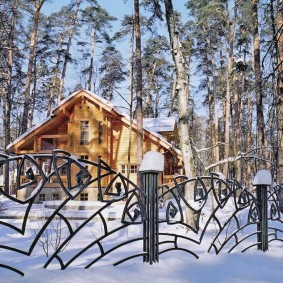 Winter in the country with a forged fence