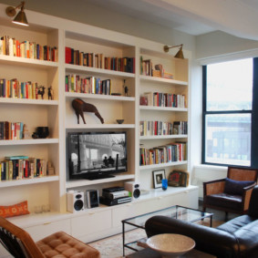 Illumination of bookshelves in the living room
