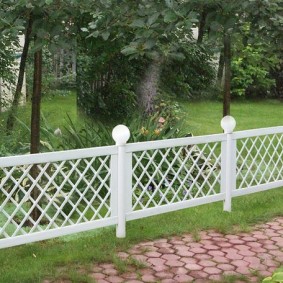 Low fence with trellised inserts