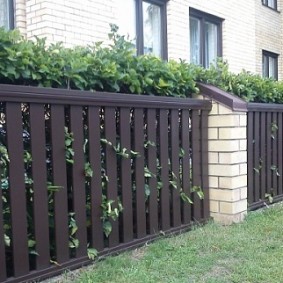 Hedge în spatele unui gard pichet
