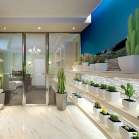 Cactussen in witte potten op planken in de woonkamer