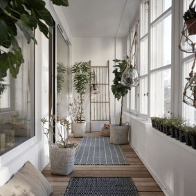 Narrow loggia with green spaces