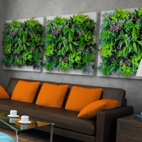 Panel żywych roślin nad sofą