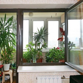 Indoor plants on the balcony of an apartment in a panel house