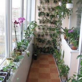 Mažas balkonas su žydinčiomis orchidėjomis
