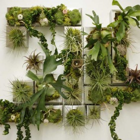 Levande växter på en vit vägg