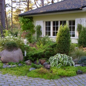 Flowerbed with conifers and hosts