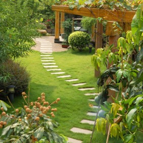 Step path through a green lawn