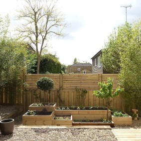 Compact garden in wooden boxes