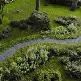 Calea cu pietriș într-o grădină în stil natural