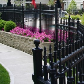 Forged black fence