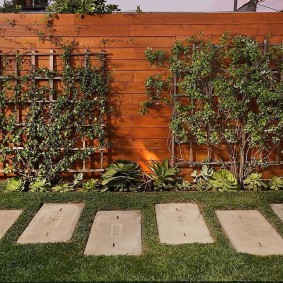 Decor of a wooden fence with living plants