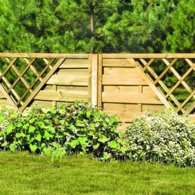 Wooden fence on the background of coniferous plants