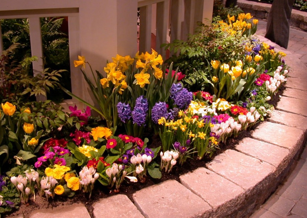 Compact flowerbed with beautiful flowers