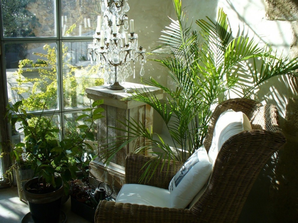 Lenestol på balkongen med levende planter
