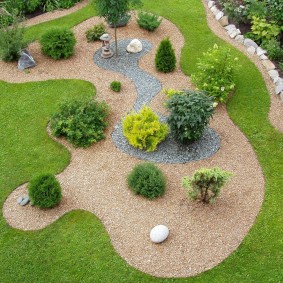 Decorative filling of a garden flowerbed with spherical thuja