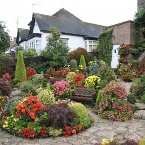 O abundență de plante cu flori într-o mică grădină