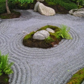 Dương xỉ và đá cuội trong một khu vườn kiểu Nhật