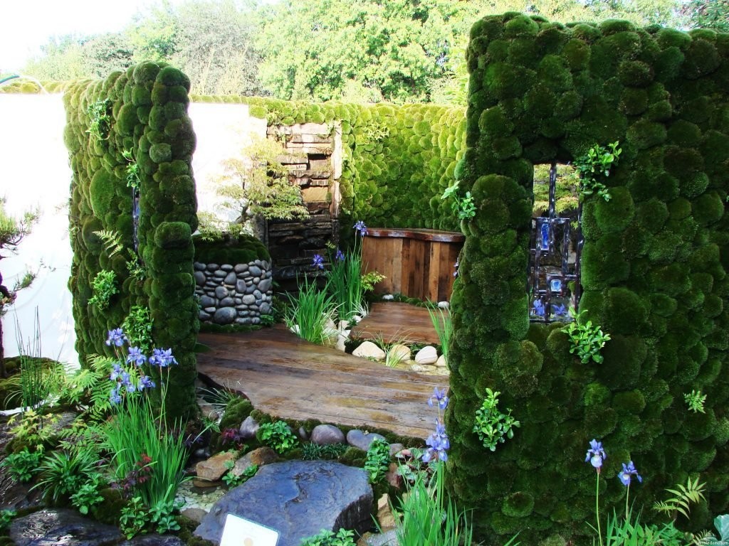 Vertical landscaping with moss in the country