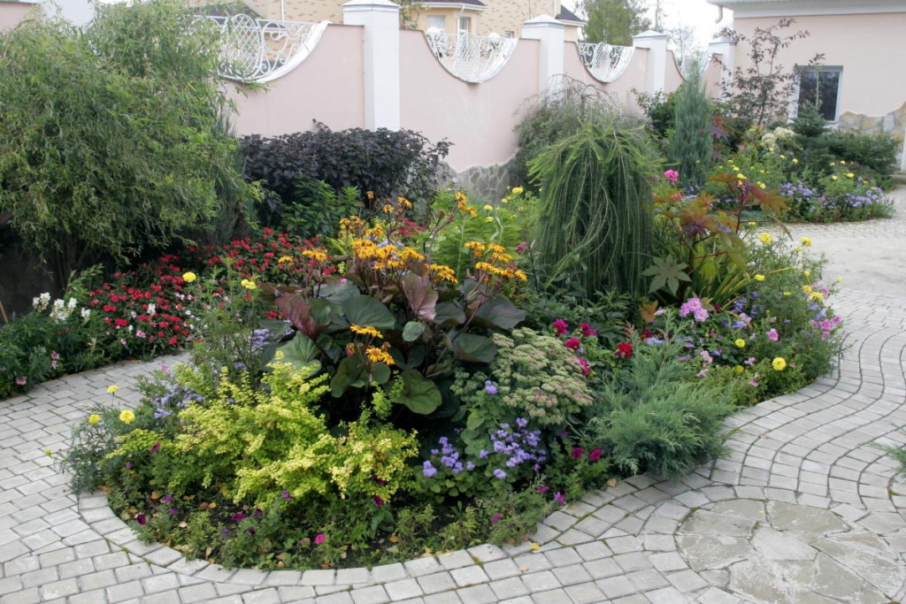 Perennial plants in the flower bed area of ​​20 acres