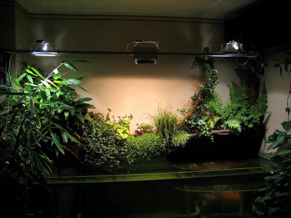 Pencahayaan tumbuhan dalaman dalam apartmen
